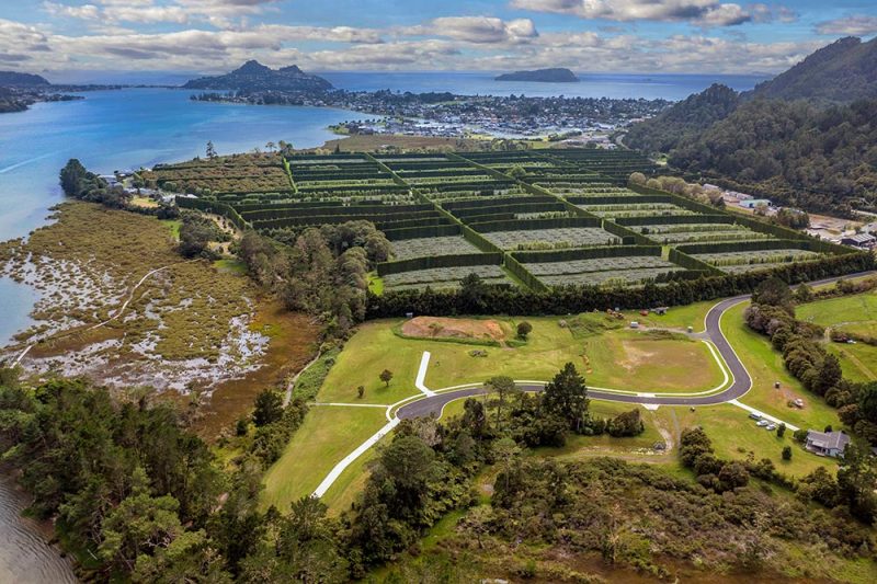 Inspired Property Pauanui and Pauanui Waterways Luxury Homes for Sale